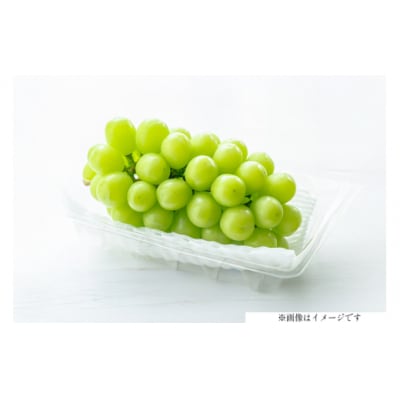 【期間限定発送】朝採り シャインマスカット 2房 1kg以上◆甘い◆産地直送