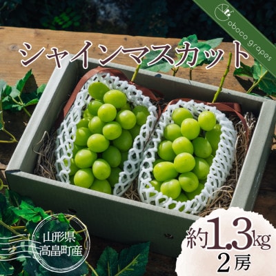 甘さ弾ける!朝どり シャインマスカット 2房 1.3kg以上◆甘い◆産地直送