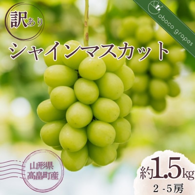 �y���Ԍ��蔭���z�󂠂� �V���C���}�X�J�b�g 2�`5�[ �� 1.5kg���ƒ�p���Â�