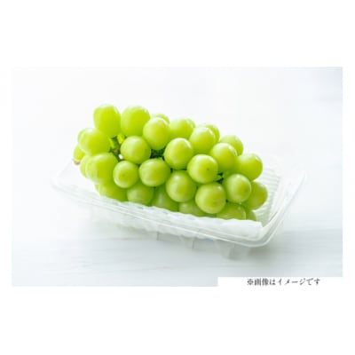 【期間限定発送】訳あり シャインマスカット 3～5房 約 1.5kg◆家庭用◆甘い