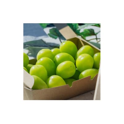 【期間限定発送】シャインマスカット 粒 500g×2パック 約 1kg◆産地直送
