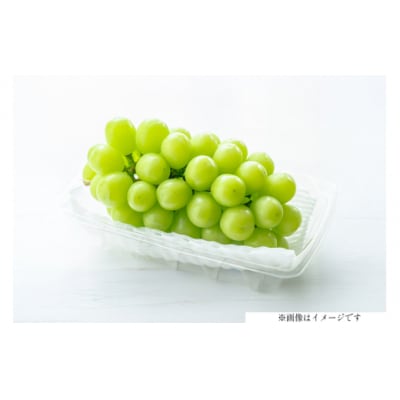 【期間限定発送】シャインマスカット 2房 1kg以上◆甘い◆産地直送