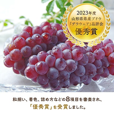 甘さはじける!デラウェア1.5kg　ぶどう　