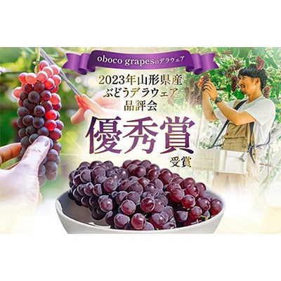 甘さはじける!デラウェア1kg(5～7房)