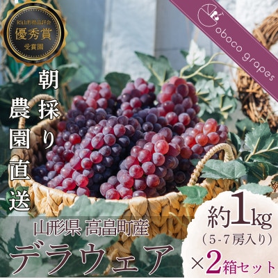 【2箱セット[約1kg(5～7房)×2箱]】甘さはじける!デラウェア