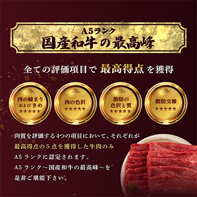 【高級A5ランク 米沢牛】 すき焼き しゃぶしゃぶ用　500g(250g×2)