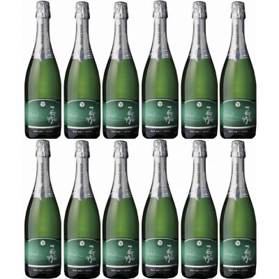【数量限定】嘉 辛口スパークリングワイン  ピノ シャルドネ 750ml×12本【高畠ワイナリー】