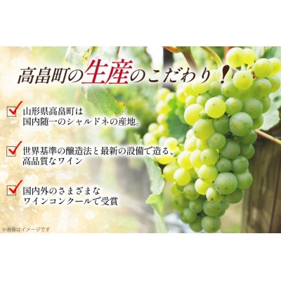 ワイン おまかせ バラエティ 辛口 6本 セット 飲み比べ