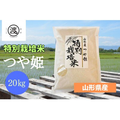 山形県高畠産】特別栽培米 つや姫 20kg(5kg×4) | お礼品詳細