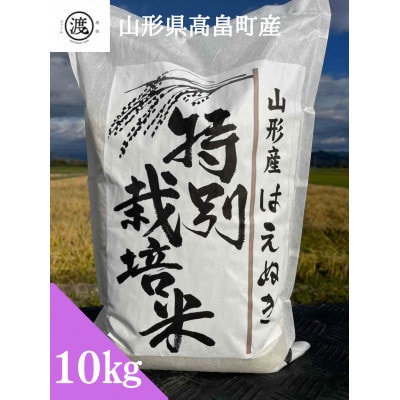 【毎月定期便】【山形県高畠産】特別栽培米 はえぬき 10kg(5kg×2)全9回