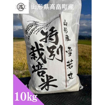 【毎月定期便】【山形県高畠産】特別栽培米 雪若丸 10kg(5kg×2袋)全6回
