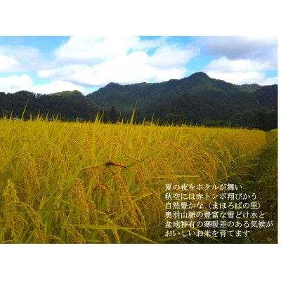 【令和5年産】特別栽培米　詰め合わせ　雪若丸　コシヒカリ　白米　各2kg×1袋(計4kg)