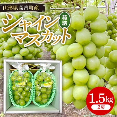 令和6年産 シャインマスカット 1.5kg(2房)