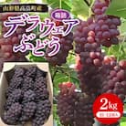 《先行受付》2026年産デラウェアぶどう 約2kg(10～12房)【2026年7月より順次発送予定】