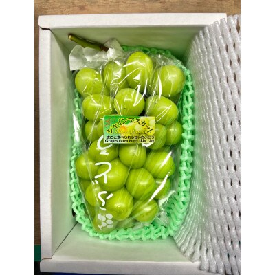 【先行予約】令和8年産 シャインマスカット1房(約800g)