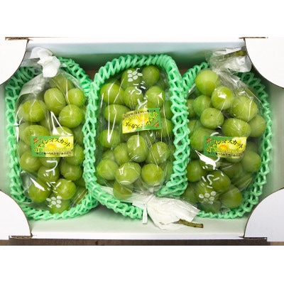 【先行予約】令和8年産 シャインマスカット約2kg(3～4房)