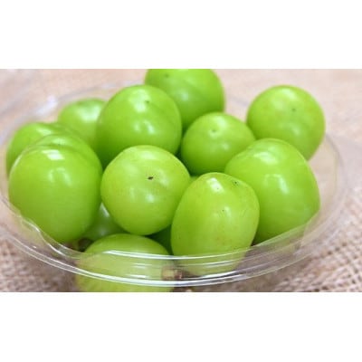 【先行予約】令和8年産シャインマスカットジュエルボックス 2kg (250g×8個)