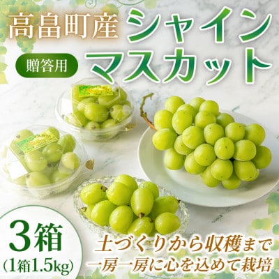 【産地直送・贈答用】シャインマスカット 約1.5kg×3箱 山形県高畠町産 高糖度