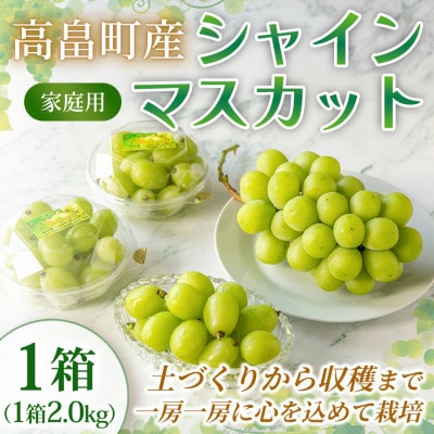 【産地直送・家庭用】シャインマスカット 約2kg 1箱 山形県高畠町産 高糖度