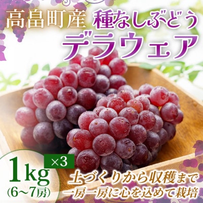 【産地直送・食べやすい種なしぶどう】山形県高畠町産 デラウェア 約1kg(6～7房)×3箱