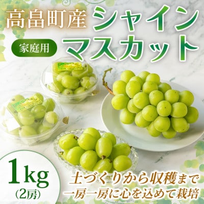 【産地直送・家庭用】シャインマスカット 2房 約1kg 1箱 山形県高畠町産 高糖度