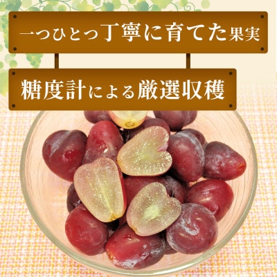 【産地直送】マイハート 2房(約1kg) 山形県高畠町産 高糖度