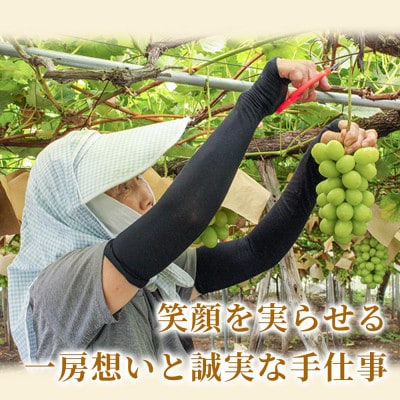 【産地直送】マイハート 約250g×2個 箱入 山形県高畠町産 高糖度