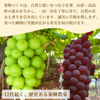 【産地直送】マイハート 約250g×2個 箱入 山形県高畠町産 高糖度