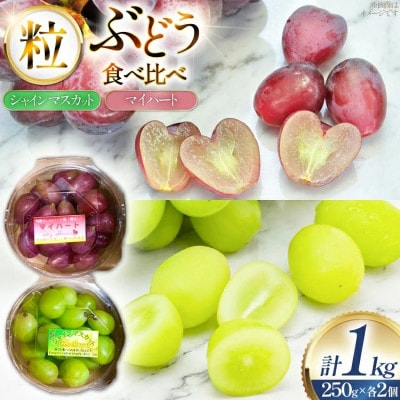 【期間限定発送】ぶどう食べ比べ シャインマスカット・マイハート (250g×各2個) 計4個 1kg