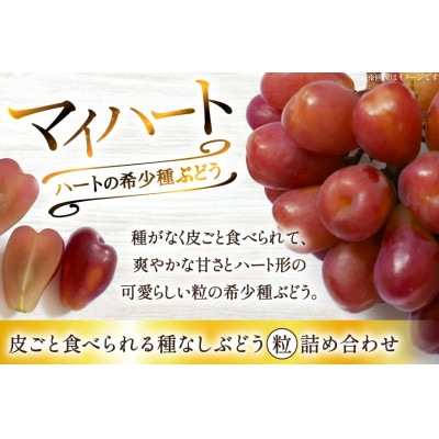 【期間限定発送】ぶどう食べ比べ シャインマスカット・マイハート (250g×各2個) 計4個 1kg