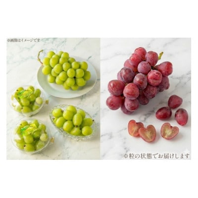 【期間限定発送】ぶどう食べ比べ シャインマスカット・マイハート (250g×各2個) 計4個 1kg