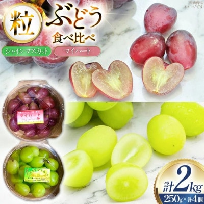 【期間限定発送】ぶどう食べ比べ シャインマスカット・マイハート (250g×各4個) 計8個 2kg