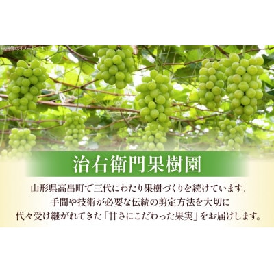 【期間限定発送】ぶどう食べ比べ シャインマスカット・マイハート (250g×各4個) 計8個 2kg