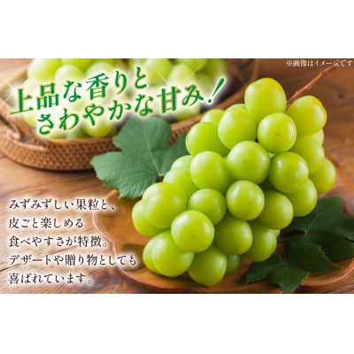 【期間限定発送】詰め合わせ シャインマスカット贈答用800g・りんごジュース900ml×2本