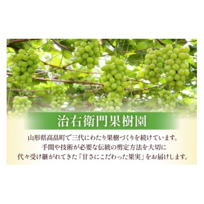 【期間限定発送】詰め合わせ シャインマスカット贈答用800g・りんごジュース900ml×2本