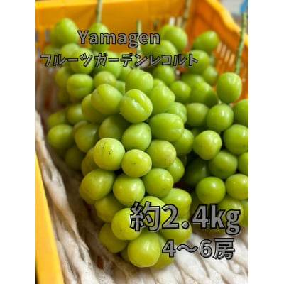 山形県 高畠町産 ご家庭用 シャイマスカット 贅沢セット　約2.4kg　(4～6房)