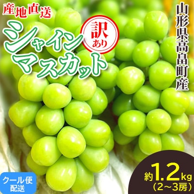 【2026年度先行予約】山形県高畠町産 訳あり シャインマスカット 約1.2kg(2～3房)