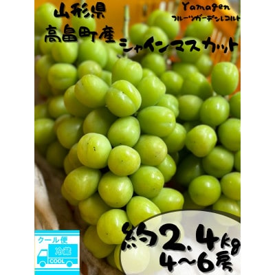 2026年度先行予約 山形県高畠町産 ご家庭用 シャイマスカット 贅沢セット約2.4kg(4～6房)