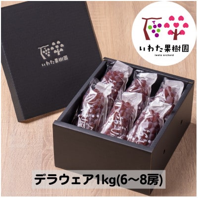 山形県 高畠町産 デラウェア 約1kg(6～8房) 2026年8月上旬から順次発送
