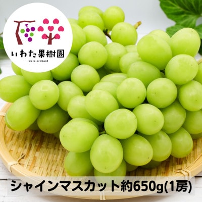 山形県 高畠町産 シャインマスカット 1房(約650g) 2025年9月中旬から順次発送
