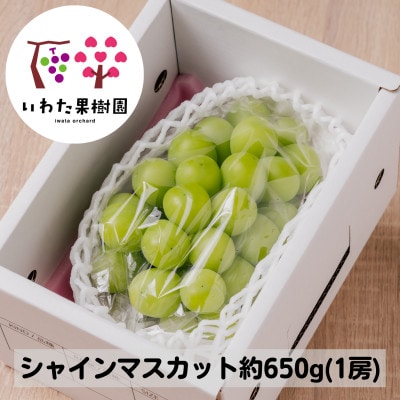 山形県 高畠町産 シャインマスカット 1房(約650g) 2026年9月中旬から順次発送