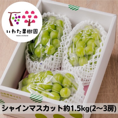 山形県 高畠町産 シャインマスカット 約1.5kg(2〜3房) 2026年9月中旬から順次発送