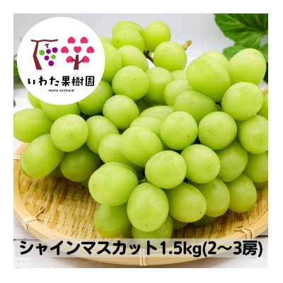 山形県 高畠町産 シャインマスカット 約1.5kg(2～3房) 2025年9月中旬から順次発送