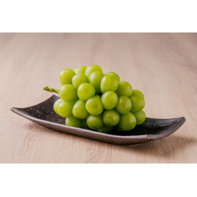 山形県 高畠町産 シャインマスカット 約3kg(4～6房) 2026年9月中旬から順次発送