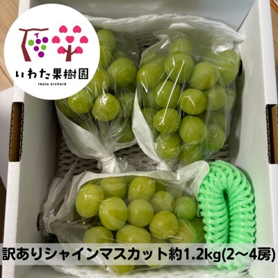 yƒpzR` Y VC}XJbg 1.2kg(2`4[)