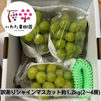 【家庭用】山形県 高畠町産 シャインマスカット 1.2kg(2～4房)