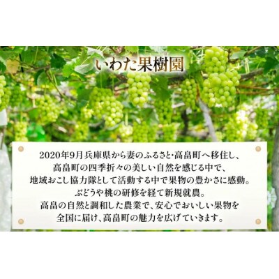 【期間限定発送】 2026年 冬出し 贈答用 シャインマスカット 1.5kg (2～3房)