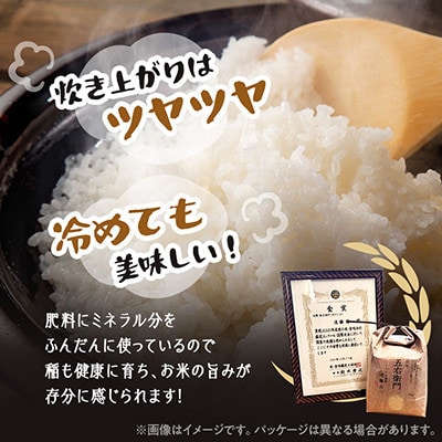 【数量限定】令和7年  精米 5kg ゆうだい21 特別栽培米 遠藤農園 遠藤五一