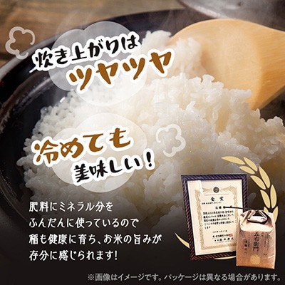 【数量限定】精米 令和7年産 遠藤農園遠藤五一 コシヒカリ 5kg 有機JAS認証のお米