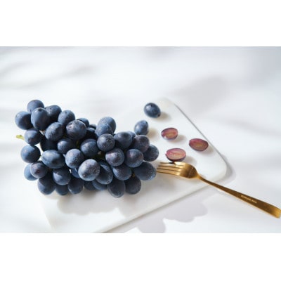 希少品種　高尾(たかお)ぶどう　約1kg